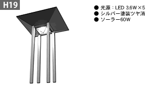 L19